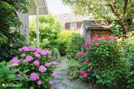 Vakantiehuis Nederland, Utrecht, Vinkeveen vakantiehuis Villa Vinkeveen - Luxe aan het water
