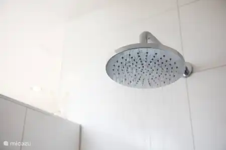 Vakantiehuis Nederland, Utrecht, Vinkeveen vakantiehuis Villa Vinkeveen - Luxe aan het water