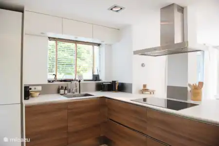 Vakantiehuis Nederland, Utrecht, Vinkeveen vakantiehuis Villa Vinkeveen - Luxe aan het water