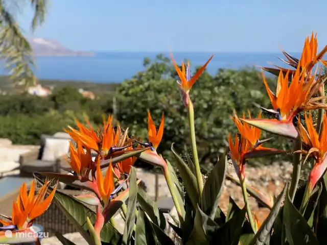 Villa Séléné | Grèce, Crète, Xirosterni - villa