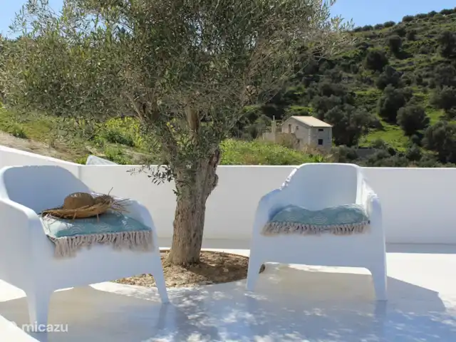 Villa Xenia | Grèce, Crète, Kamilari - maison de vacances Notre propre olivier
