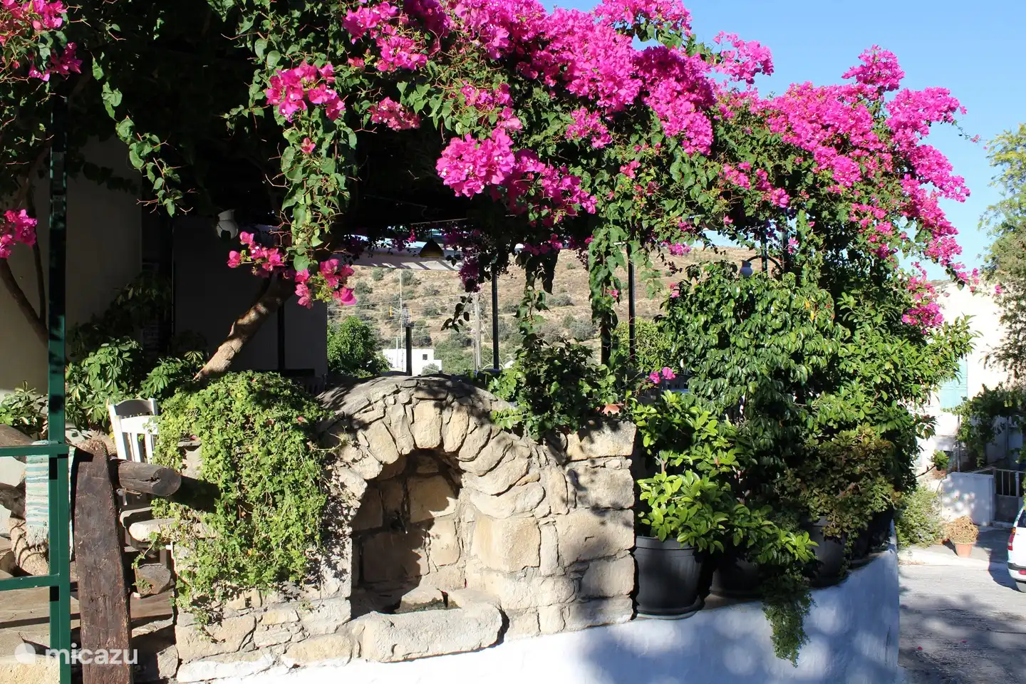 Bougainvillea's in Kamilari