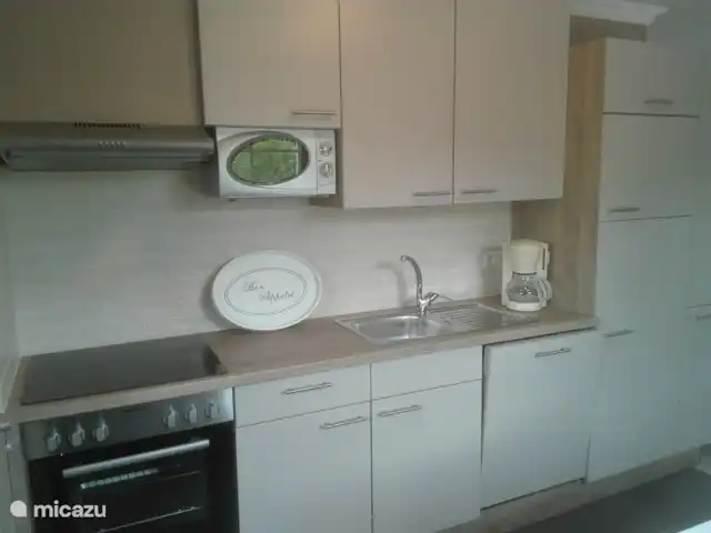 Location de Vacances France, Ardèche, Chambonas, villa - Gîte du Mas de Vignal cuisine bien équipée