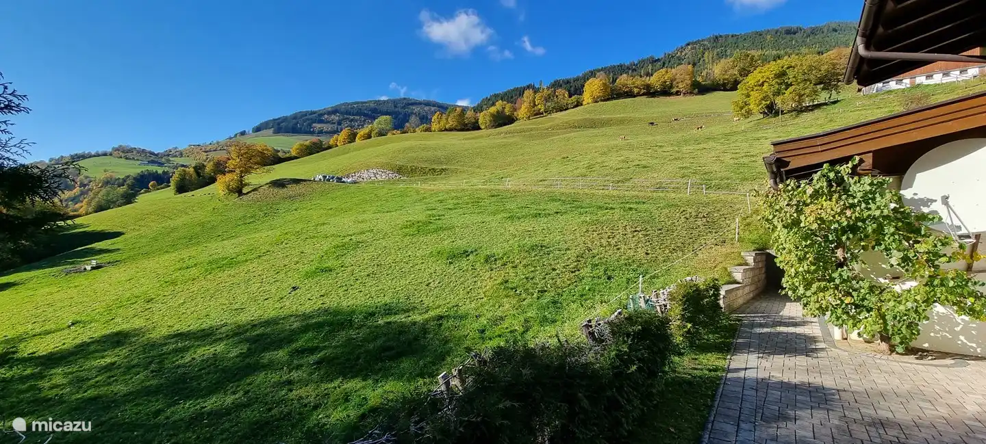 View from the garden towards the west
