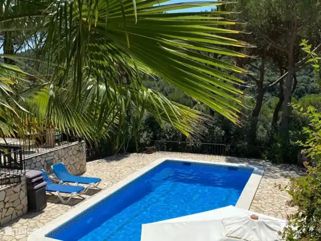 Casa Alegre huren in Spanje, Costa Brava, Calonge - vakantiehuis Mooi privé zwembad, om heerlijk te zwemmen of te relaxen op de ligbedden.
