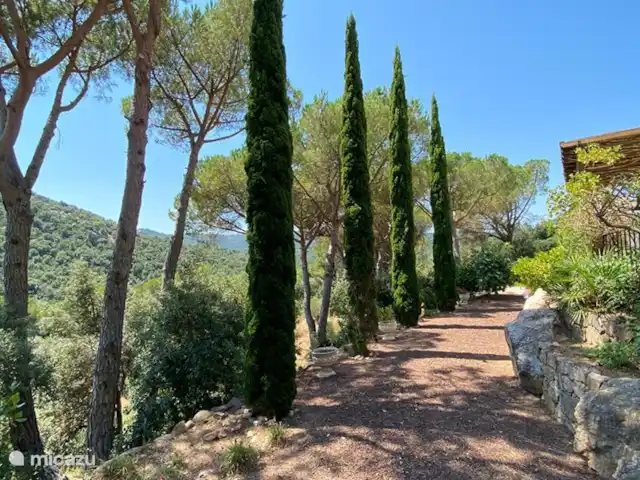 Casa Alegre huren in Spanje, Costa Brava, Calonge - vakantiehuis Tuin en uitzicht op de groene omgeving.
