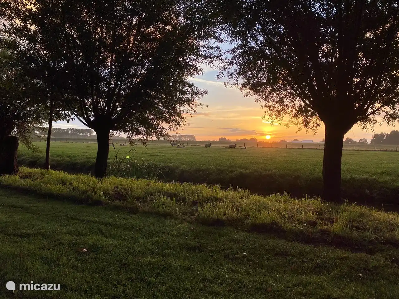 zonsopgang aan de achterzijde van het tiny house