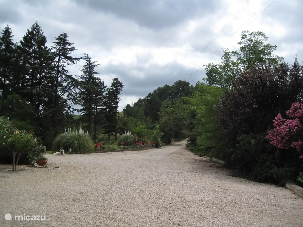 The driveway is 800 meters long