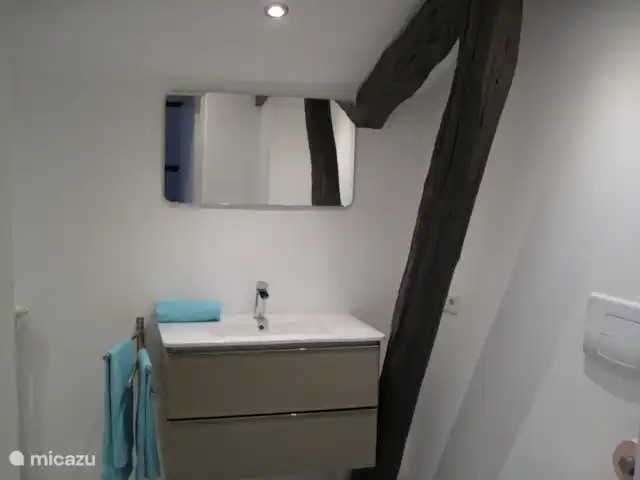 Le Blaireau | France, Gers, Gaujan - maison de vacances Salle de bain attenante à la chambre principale