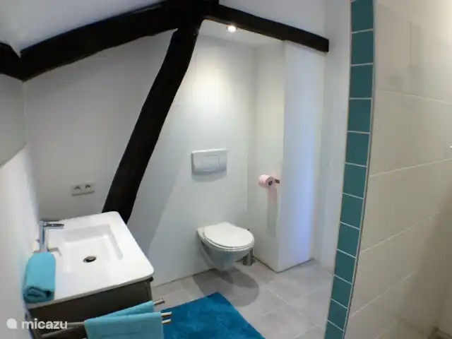 Le Blaireau | France, Gers, Gaujan - maison de vacances Salle de bain attenante