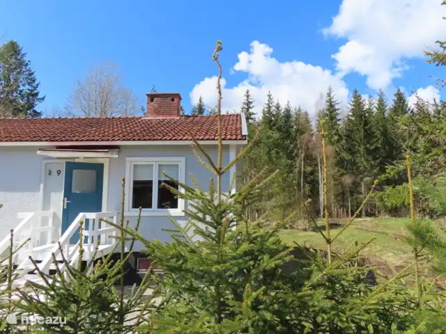 Location de Vacances Suède, Värmland, Nykroppa, maison de vacances - Maison GWEN en lac +service complet Vue de face de la maison et de la forêt derrière