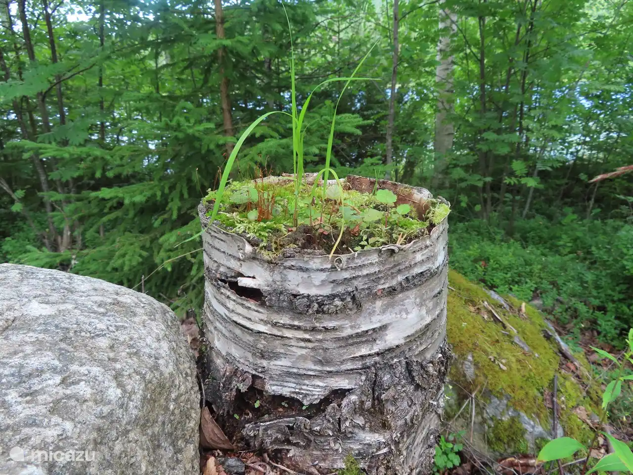 Was die Natur nicht macht.