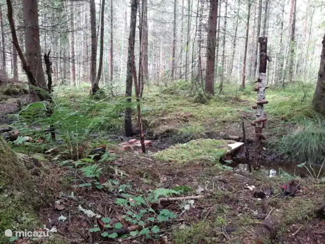 Location de Vacances Suède, Värmland, Nykroppa, maison de vacances - Maison GWEN en lac +service complet La forêt dans notre jardin.