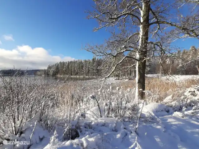 Location de Vacances Suède, Värmland, Nykroppa, maison de vacances - Maison GWEN en lac +service complet vue sur le lac