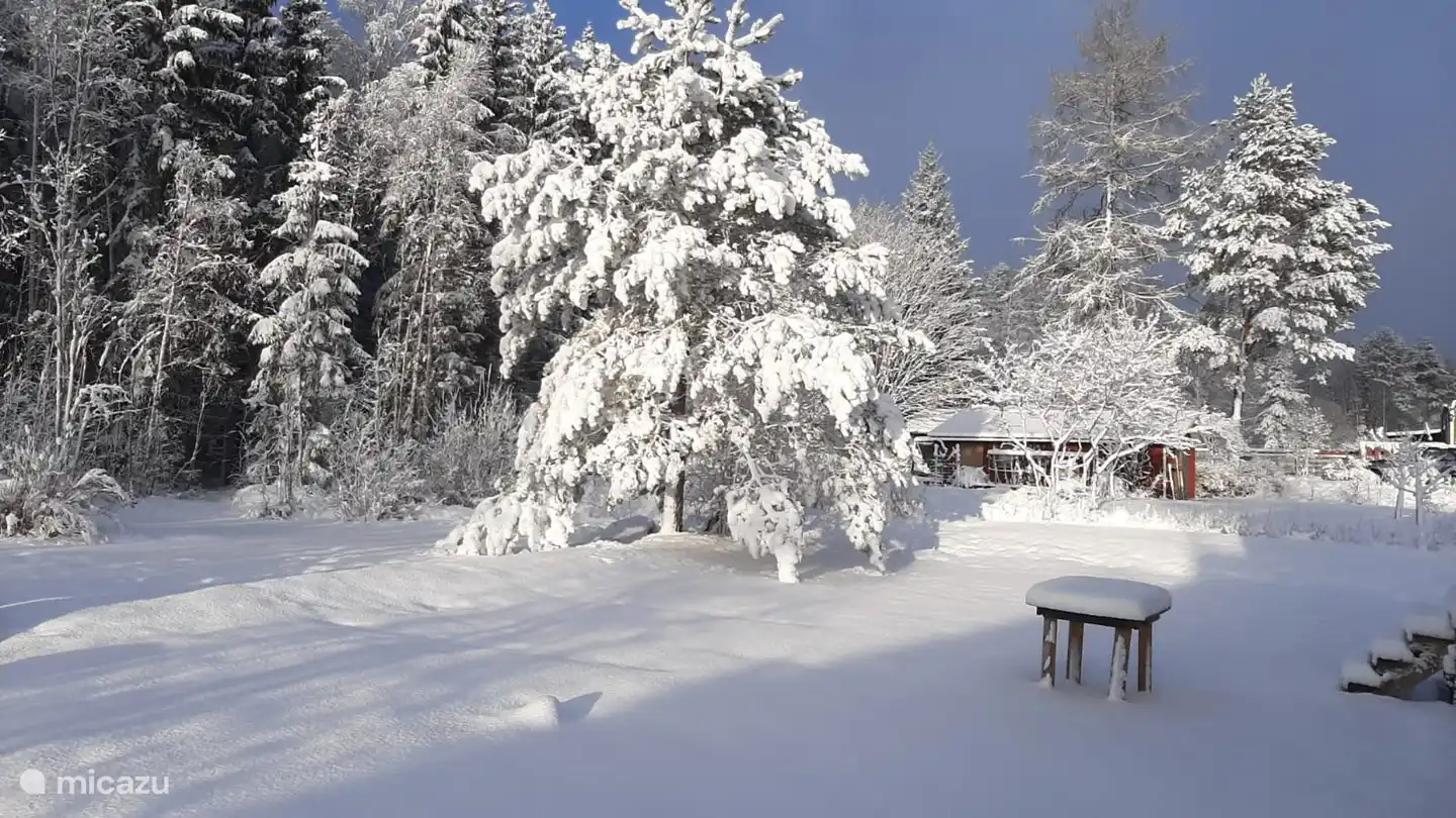 winterlicher Hinterhof