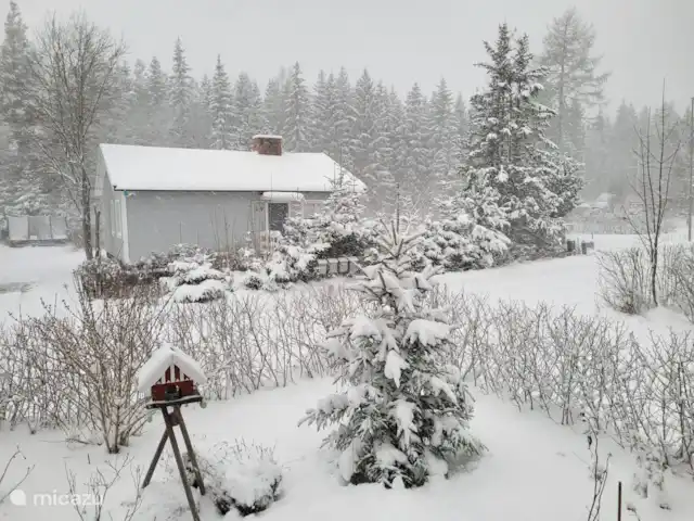 Location de Vacances Suède, Värmland, Nykroppa, maison de vacances - Maison GWEN en lac +service complet Une cour arrière d’hiver
