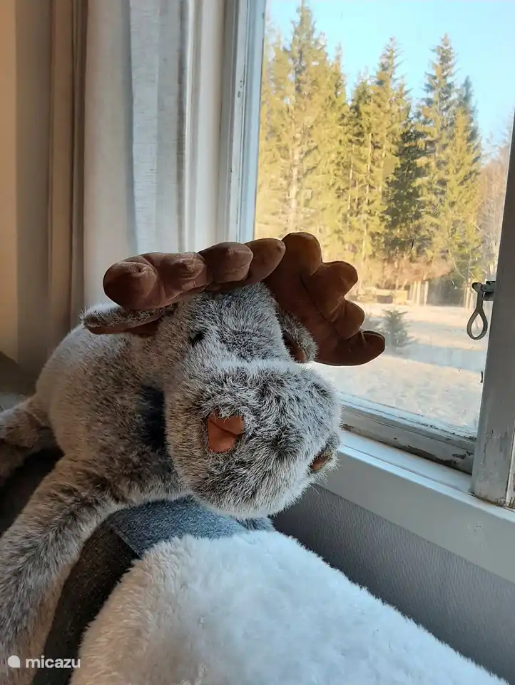 Gemütliche Einrichtung mit vielen schwedischen Details