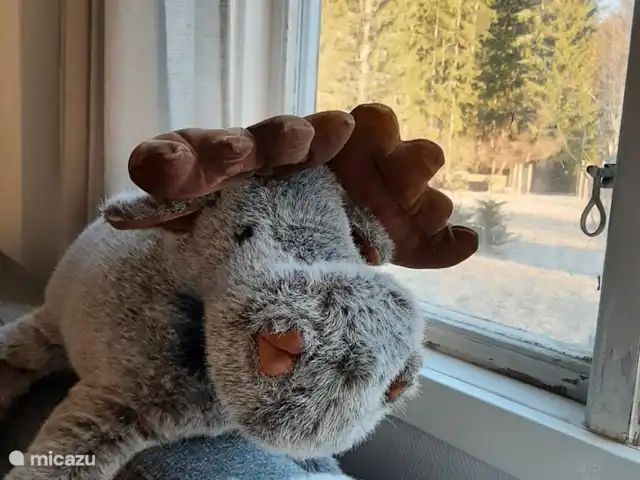 Location de Vacances Suède, Värmland, Nykroppa, maison de vacances - Maison GWEN en lac +service complet Ameublement confortable avec un certain nombre de détails suédois