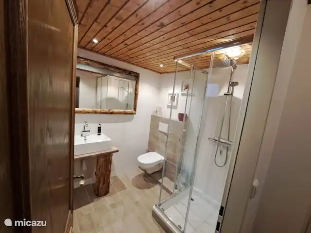 Mooi Stekkie | Autriche, Carinthie, Grosskirchheim - bungalow Salle de bain au sous-sol avec toilette, lavabo et magnifique douche pluie-danse