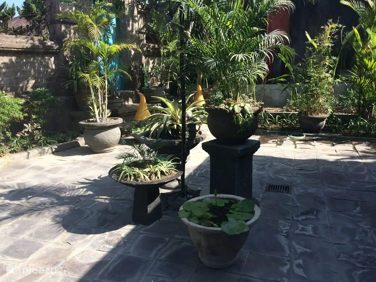 Jardín hacia la entrada lateral