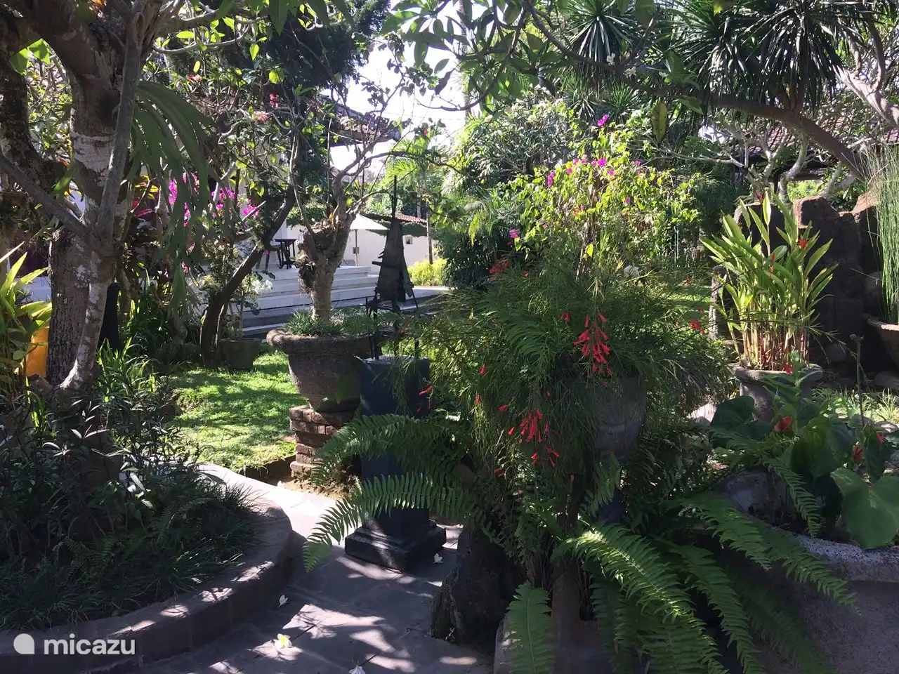 Jardín hacia la casa de dormir