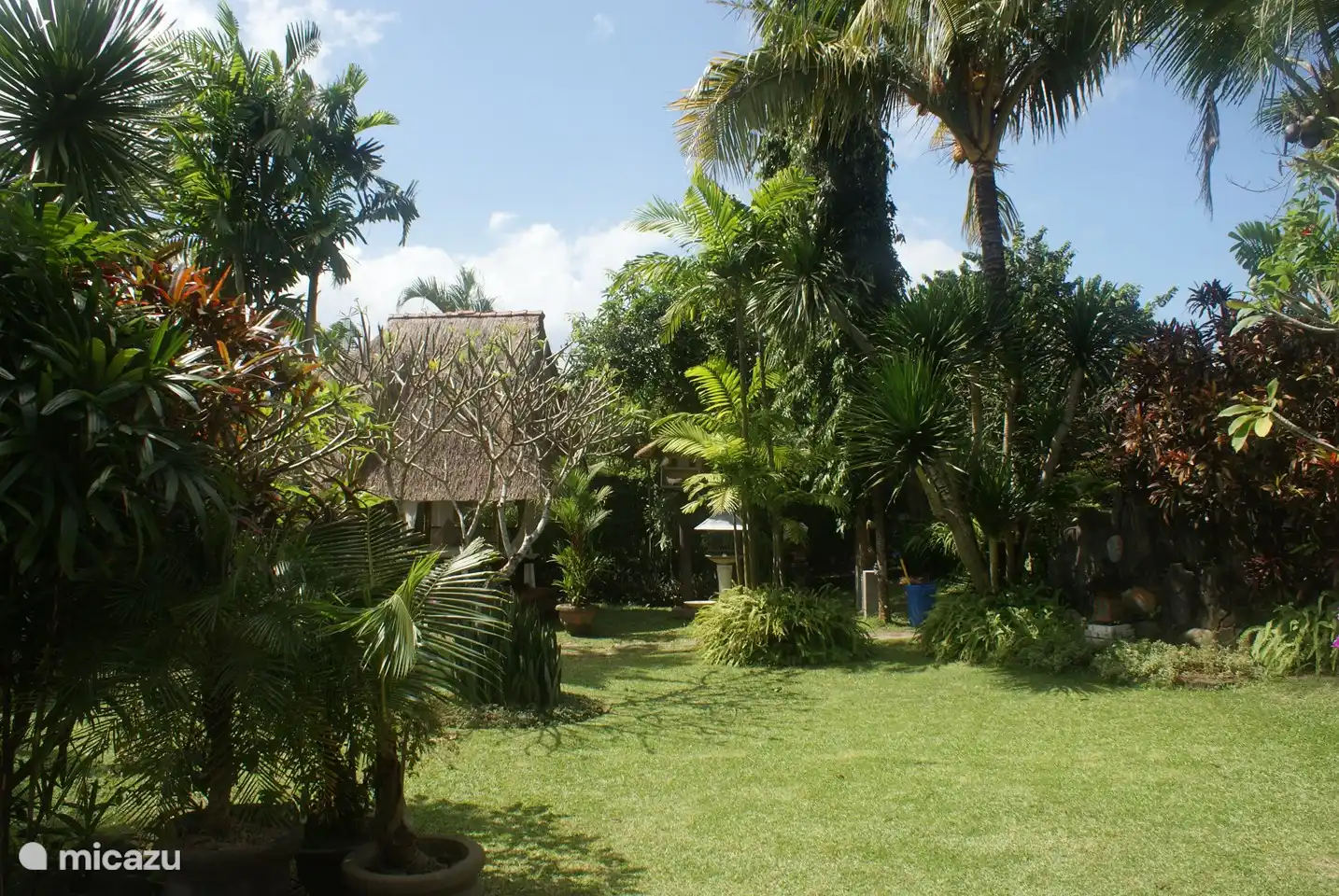 Jardín frente a la casa de arroz