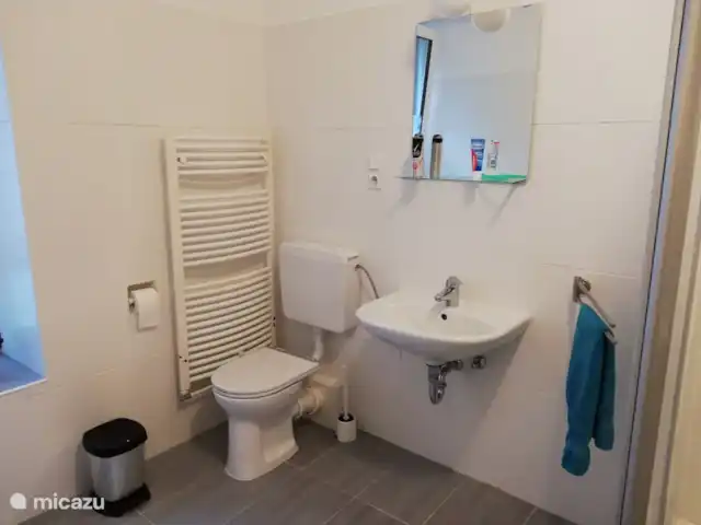 Location de Vacances Allemagne, Sauerland, Siedlinghausen - Winterberg, appartement - Jagdschloss Siedlinghausen BG WC, lavabo.