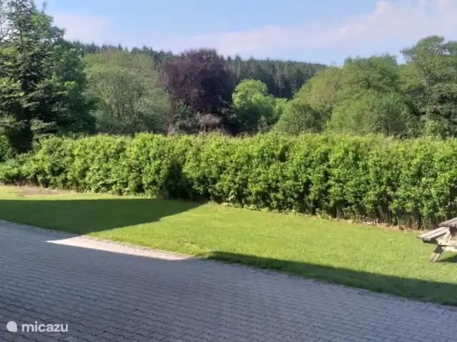 Location de Vacances Allemagne, Sauerland, Siedlinghausen - Winterberg, appartement - Jagdschloss Siedlinghausen BG Il y a, entre autres, un trampoline pour les enfants.