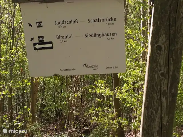 Location de Vacances Allemagne, Sauerland, Siedlinghausen - Winterberg, appartement - Jagdschloss Siedlinghausen BG La promenade circulaire Sh3 et WHT passe directement derrière la maison.