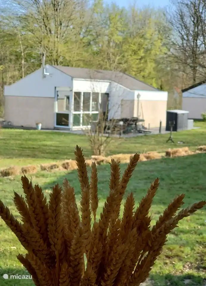 Blick aus der Küche. Viel Licht