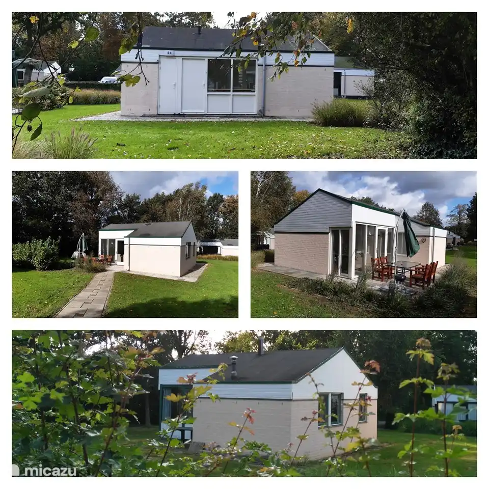 Rund ums Haus ist Grün! Ein schöner Baum, unter dem man im Schatten sitzen kann. Wenn Sie stillsitzen, sehen Sie regelmäßig ein Eichhörnchen herumhuschen...