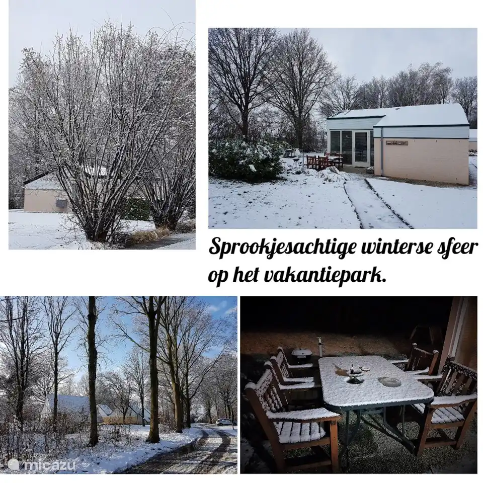 Die Atmosphäre in der Hütte ist im Winter wunderbar!