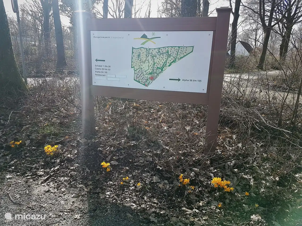 Karte des Dorfes. Im Frühling sprießen überall Narzissen, Krokusse und Traubenhyazinthen.