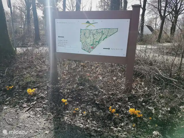 Location de Vacances Pays-Bas, Limbourg, Simpelveld, maison de vacances - Elisa Carte du parc de vacances. Au printemps, les jonquilles, les crocus et les muscaris poussent partout.