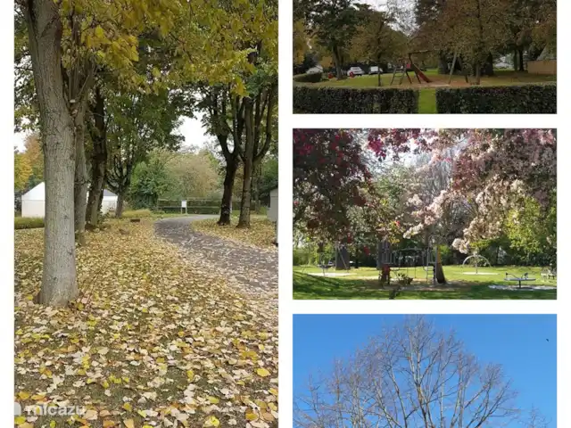 Location de Vacances Pays-Bas, Limbourg, Simpelveld, maison de vacances - Elisa Chaque saison a vraiment son charme ici au parc! Champignons, châtaignes, écureuils à gogo, belle floraison printanière...