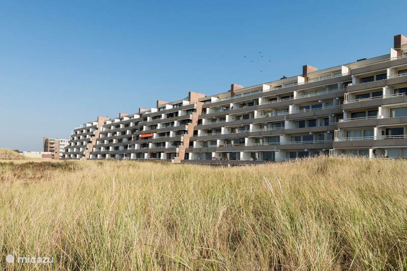 Vakantiehuis Nederland, Noord-Holland, Egmond aan Zee Appartement Sonnenterrasse