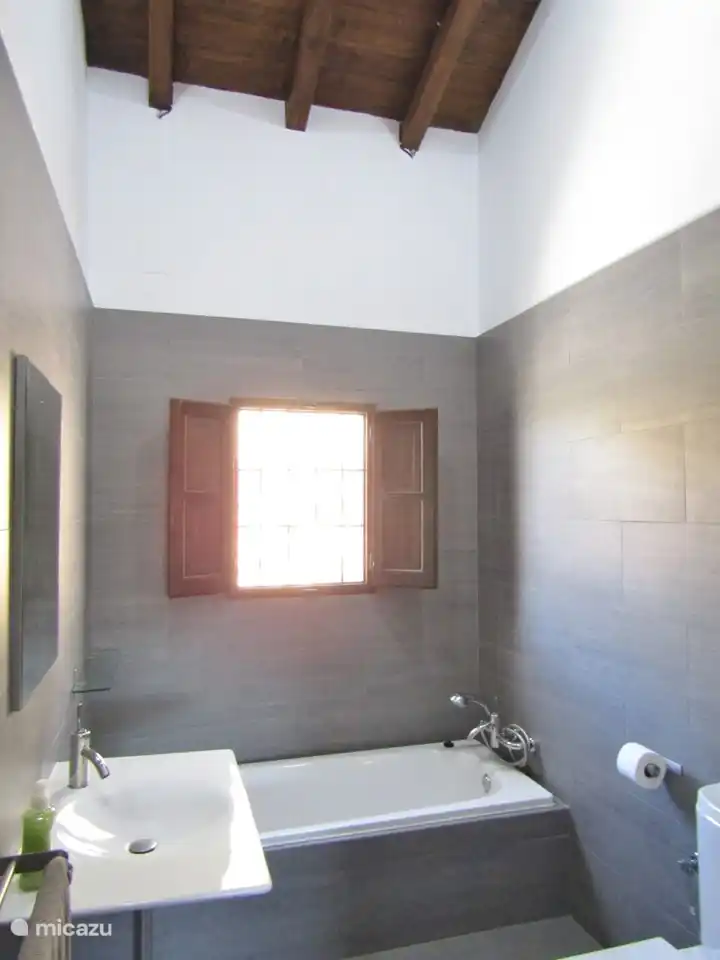 Ensuite badkamer 1 met bad, lavabo, douche en toilet