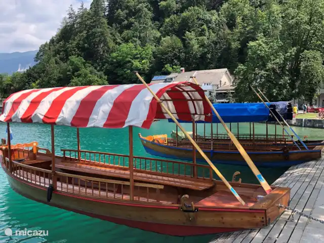 Vacances 3 pays-Hottub, BBQ, Sauna | Autriche, Carinthie, Arnoldstein - bungalow Laghi Fusine