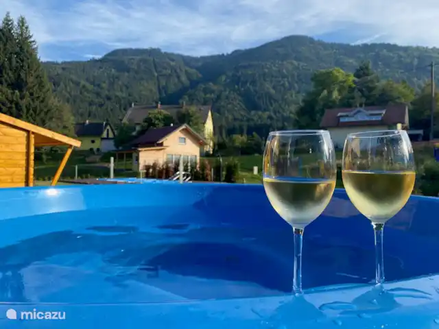 Vacances 3 pays-Hottub, BBQ, Sauna | Autriche, Carinthie, Arnoldstein - bungalow Vue depuis le bain à remous/bain froid