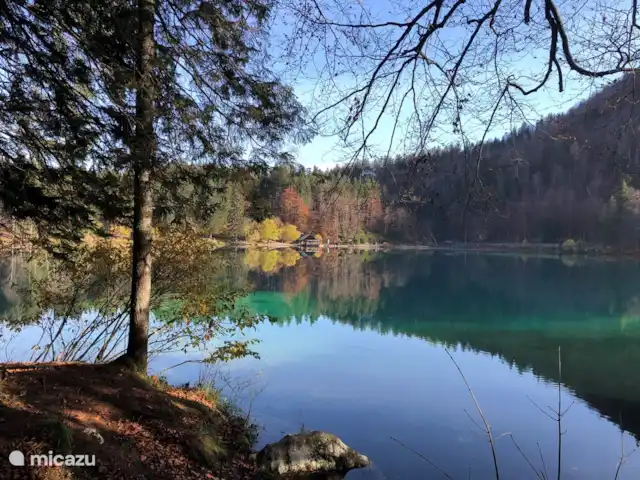 Vacances 3 pays-Hottub, BBQ, Sauna | Autriche, Carinthie, Arnoldstein - bungalow Laghi Fusine