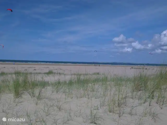 Cerca de la playa del Mar del Norte y Veerse Meer en Países Bajos, Zelanda, Kamperland - casa vacacional