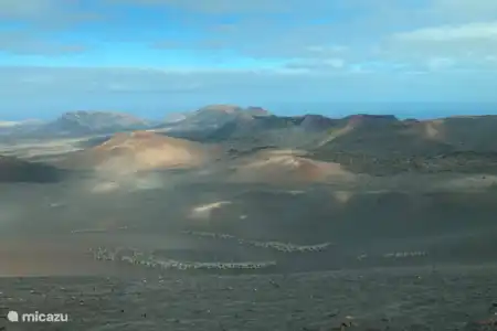Timanfaya