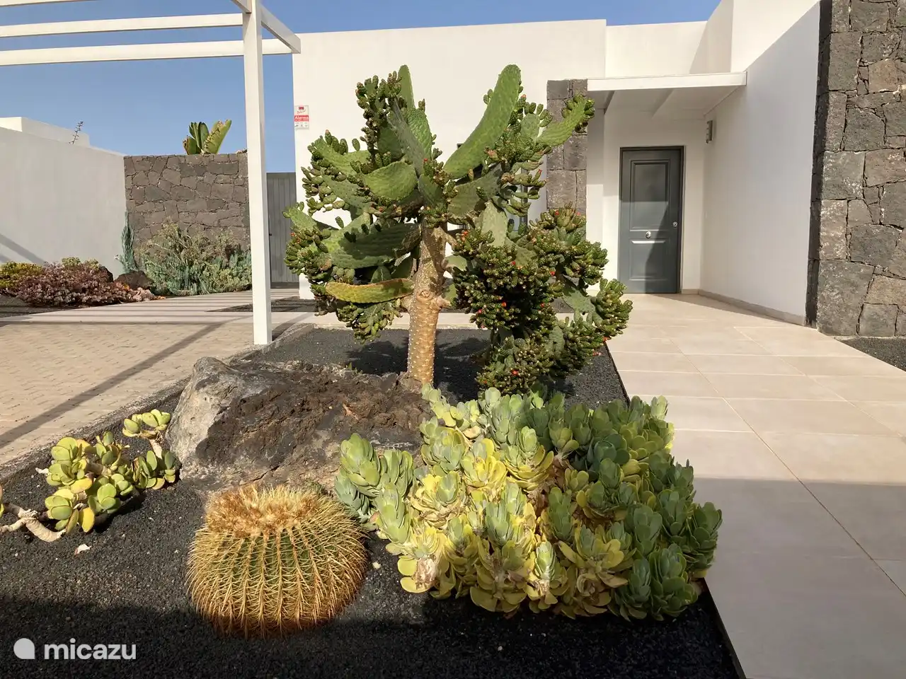 Detail from the front yard.