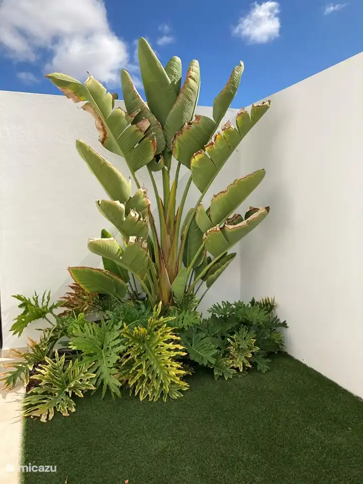 Another nice corner.