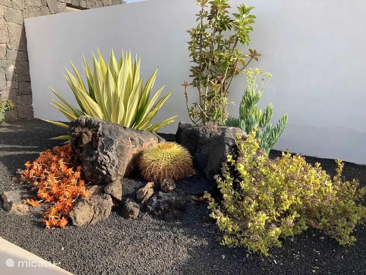 Detail from the front yard.