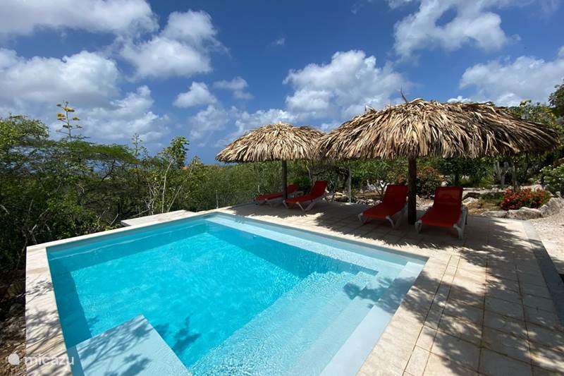 Vakantiehuis Bonaire, Bonaire, Kralendijk Studio Kas Espedajo - studio palmtree