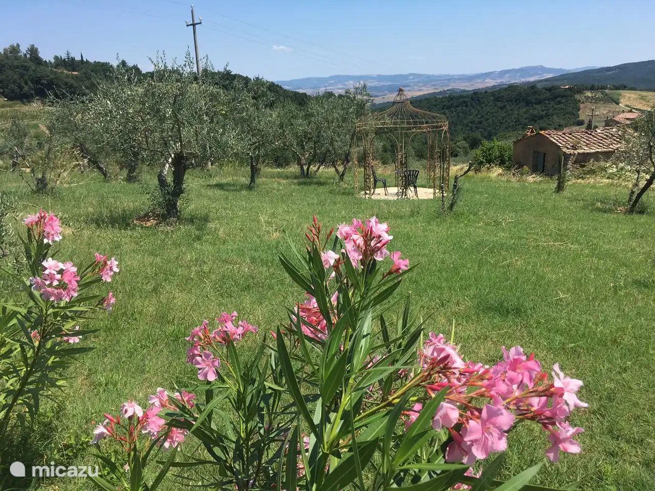 Eigener Olivenhain mit Pavillon,