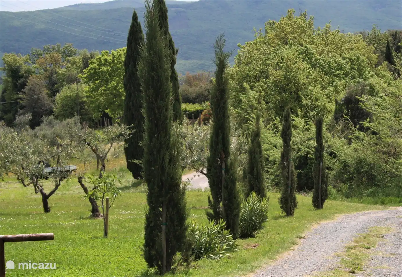 Die Auffahrt vom Borgo aus gesehen
