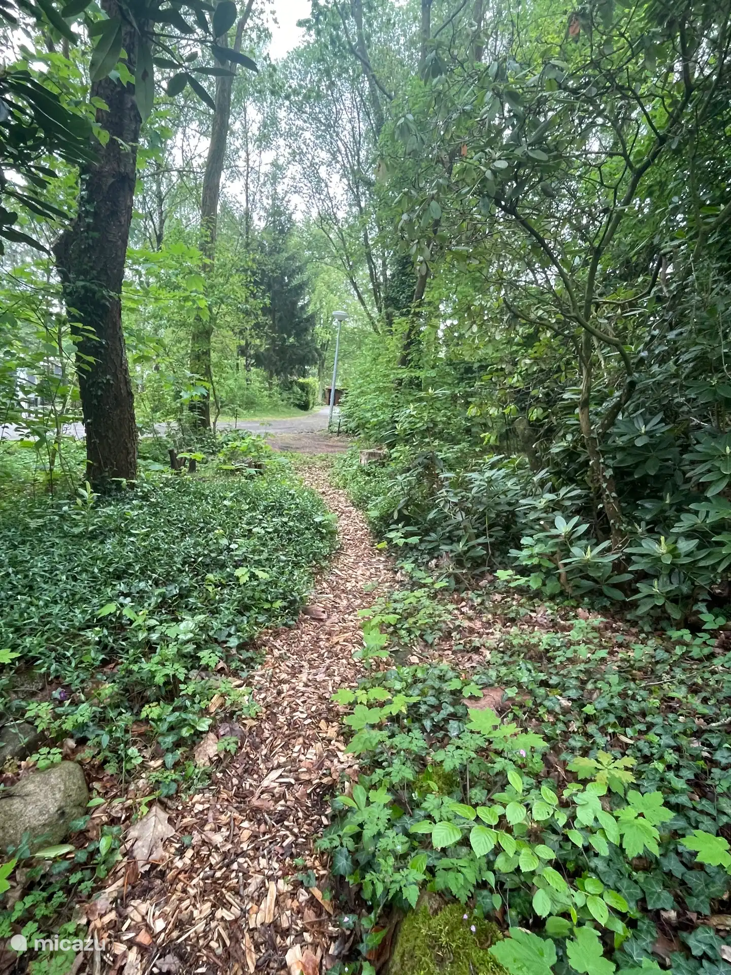 Jardin
