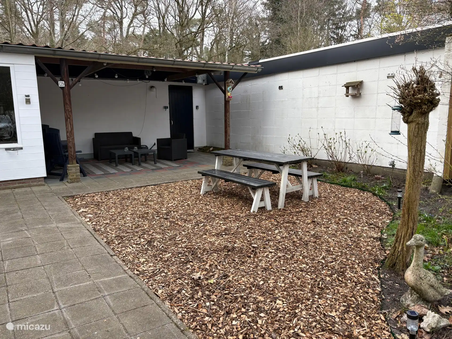 Mucho sol y sombra a través del dosel